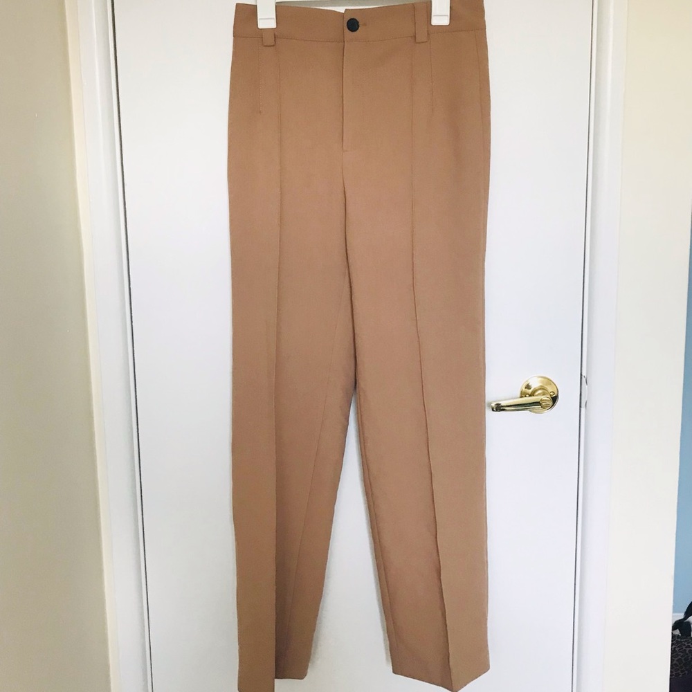 Zara Tan Pants